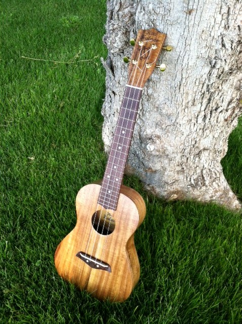 Attention K-Mart Shoppers: Koa Kalane Uke (NUD) - The Acoustic